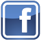 Visita la scuola su Facebook (Link esterno)